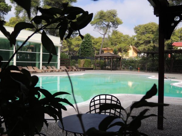 Piscina vista da un tavolo con vegetazione attorno.