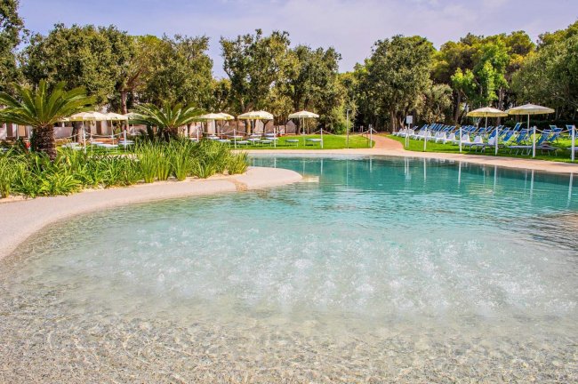 Piscina con ombrelloni e vegetazione circostante.