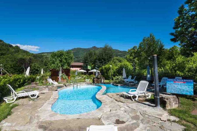 Piscina all'aperto con lettini, circondata da verde.