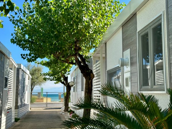 Vista di una casa con alberi e mare.