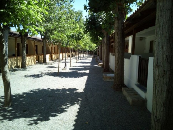 Un sentiero con alberi tra edifici, ombreggiato e coperto di ghiaia.