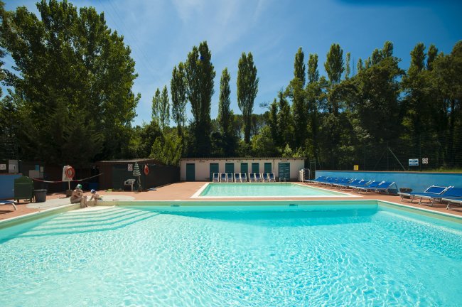 Piscina all'aperto con lettini e alberi intorno.