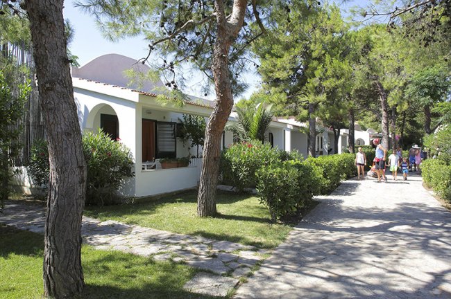 Vialetto con case bianche tra alberi e arbusti.