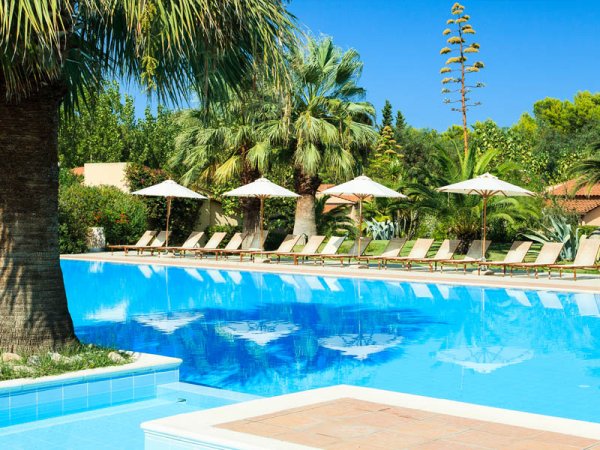 Piscina con lettini e palme tutt'intorno.