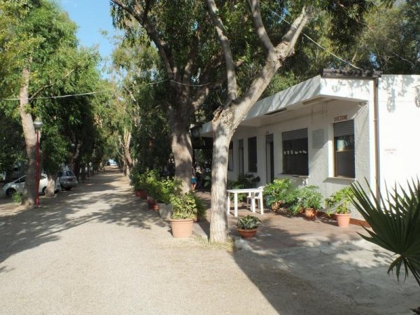 Vialetto alberato con edificio bianco e piante in vaso.