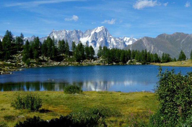 Lago alpino con montagne e alberi.