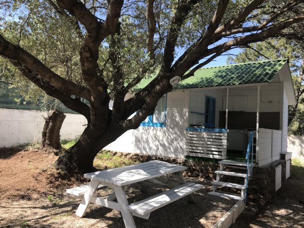 Casa di legno sotto albero con tavolo da picnic bianco.