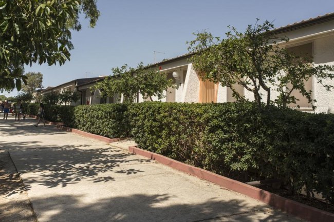 Un vialetto con case basse e siepi.