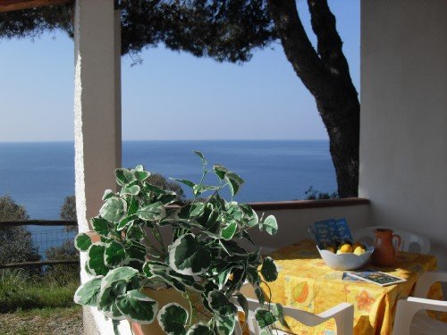 Un tavolo giallo con frutta e piante, vista mare e alberi.