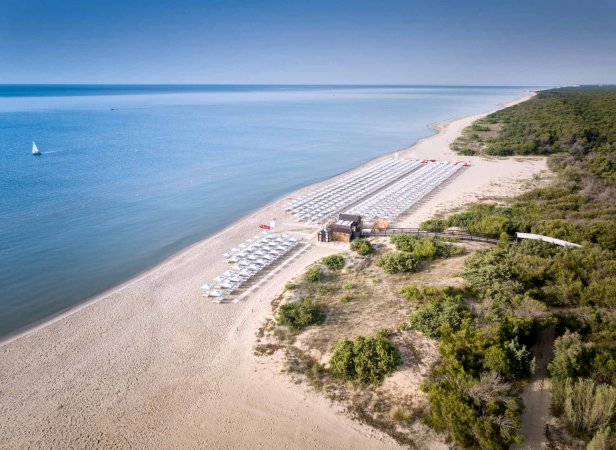 Spiaggia sabbiosa con file di ombrelloni bianchi.