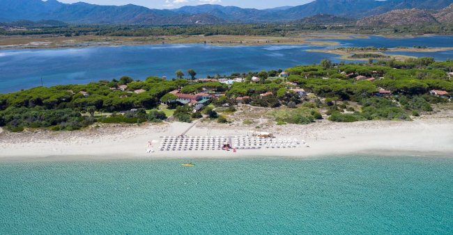 Spiaggia con ombrelloni, mare azzurro e pineta sullo sfondo.