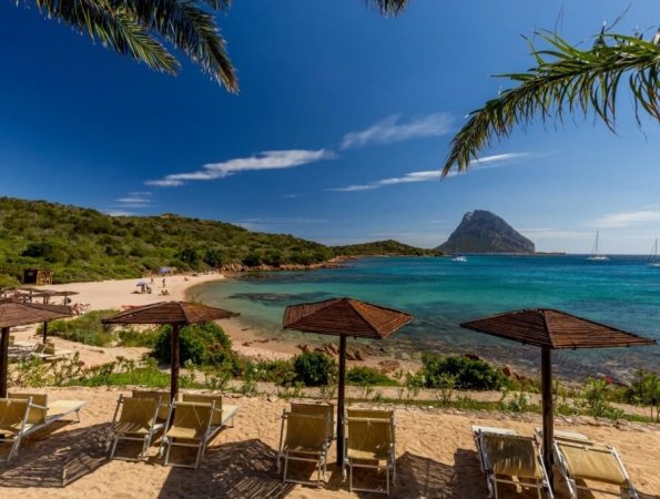 Spiaggia con lettini e ombrelloni, vista mare.