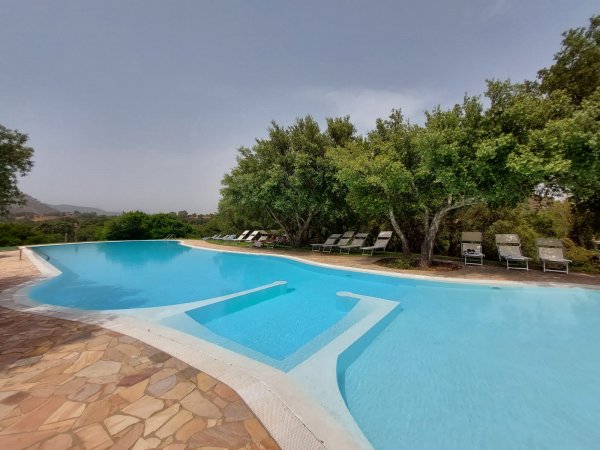 Piscina all'aperto circondata da alberi e sdraio.