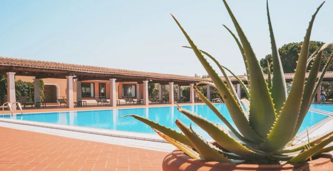 Piscina all'aperto con pianta di aloe in primo piano.