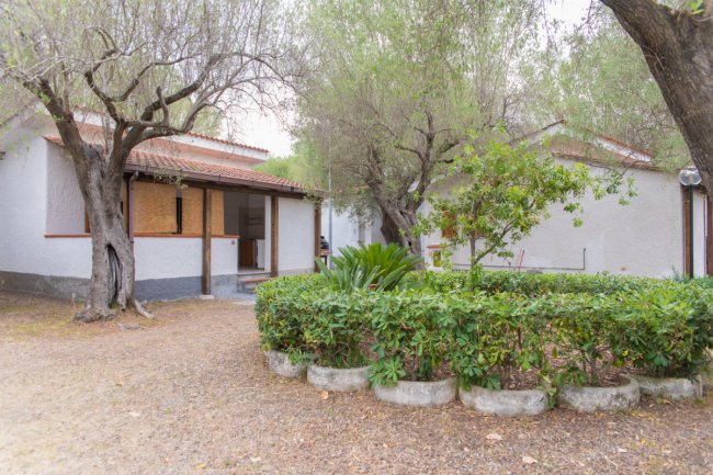 Una casa bianca circondata da alberi e cespugli, con giardino e vialetto di terra.