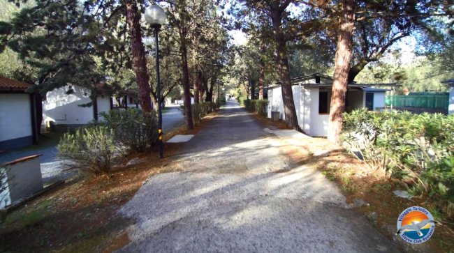 Sentiero alberato in un campeggio con bungalow su entrambi i lati.