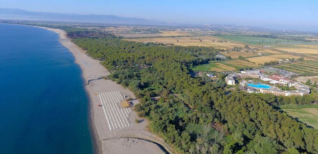 Spiaggia e pineta visti dall'alto.