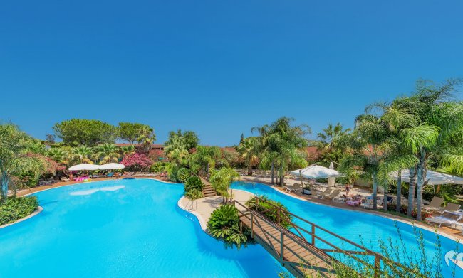 Piscina azzurra circondata da palme.