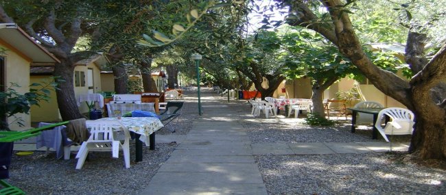 Tavoli e sedie in un viale alberato.