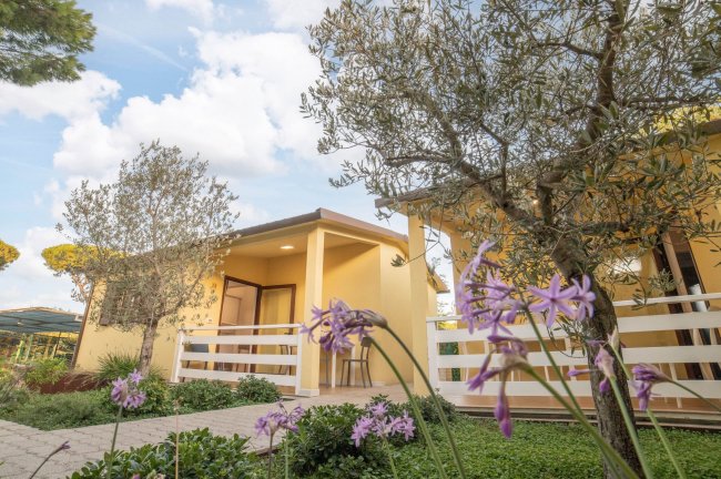 Due bungalow gialli con veranda, decorati con fiori e alberi in un giardino.