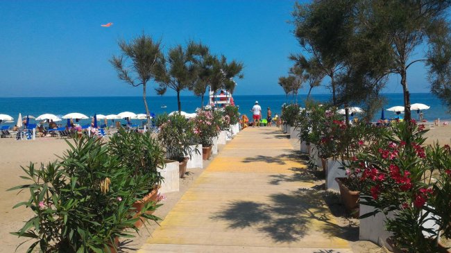 Sentiero verso la spiaggia fiancheggiato da piante fiorite.