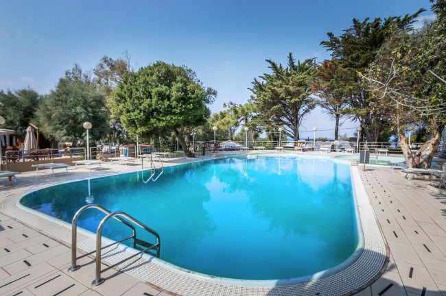 Piscina all'aperto circondata da alberi e lettini.