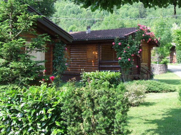 Chalet in legno con rose rampicanti e giardino curato.