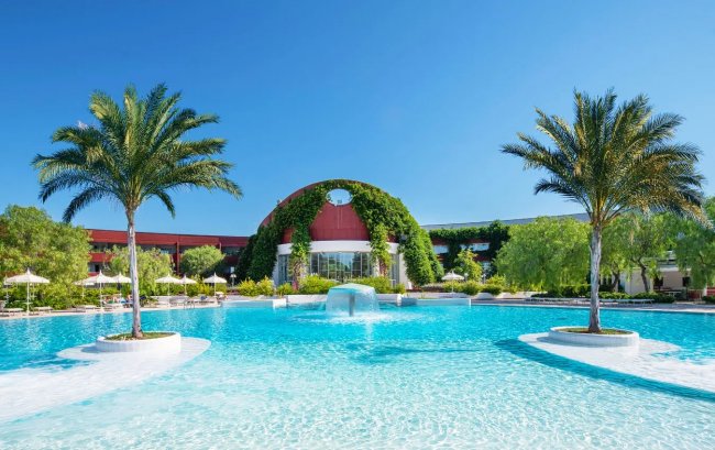 Piscina con fontana e palme.