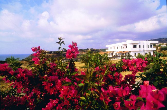 Edificio bianco oltre fiori rosa.