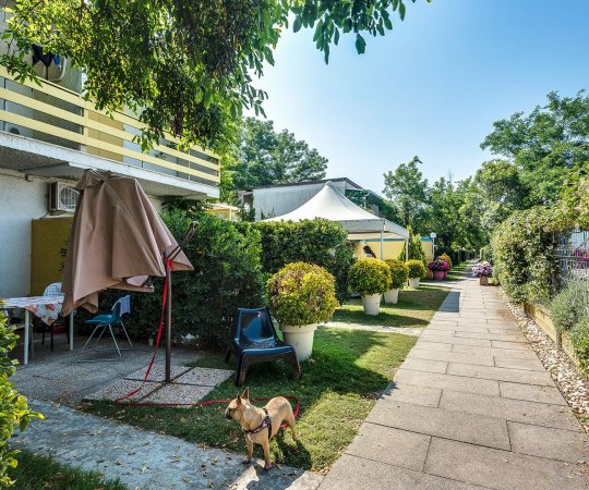 Percorso pedonale con cane e ombrelloni.