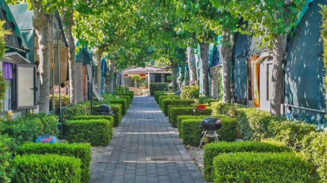 Viale con siepi e barbecue, circondato da tende.