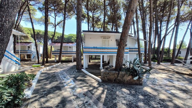 Bungalow tra alberi in un parco.