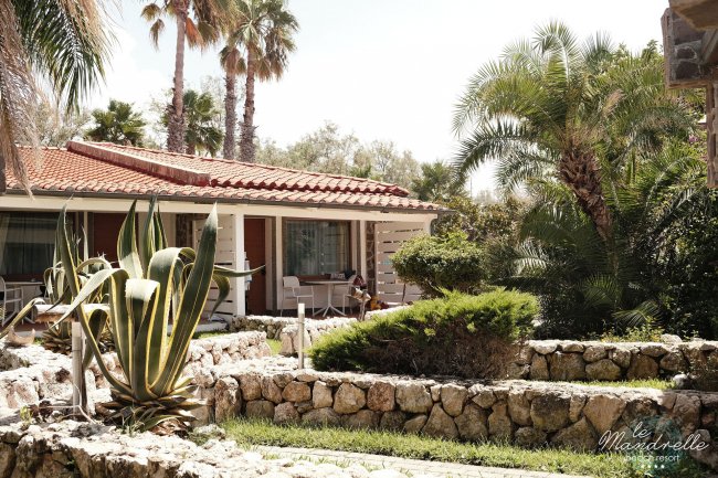 Giardino con piante tropicali e bungalow sullo sfondo.