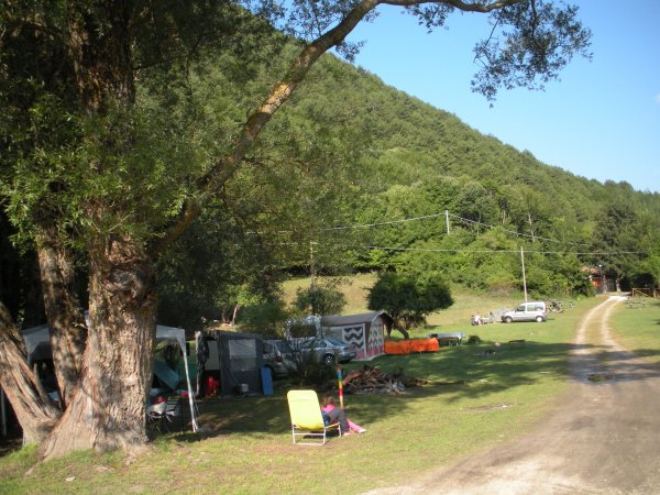 Campeggio verde con tende e vegetazione.