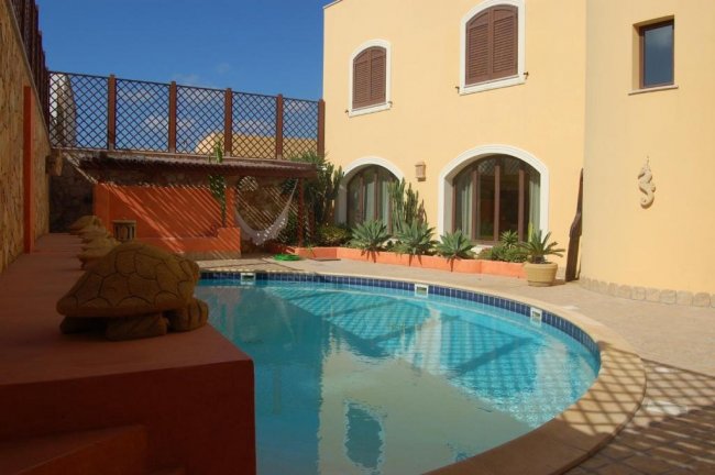 Piscina con decorazione a forma di tartaruga.