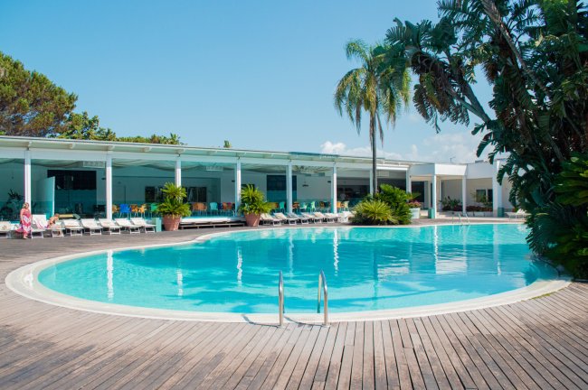 Piscina con lettini e palme sullo sfondo.