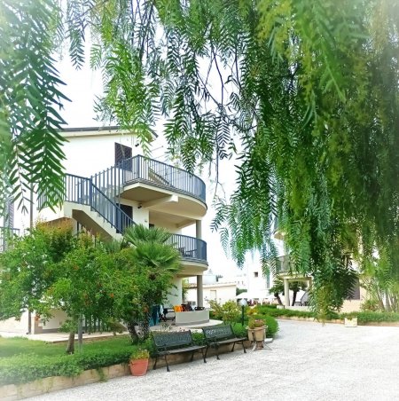 Edificio bianco tra alberi verdi.