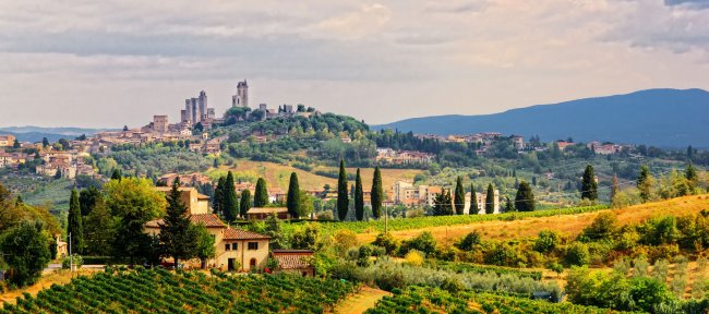 Colline con vigneti e una città collinare sullo sfondo.