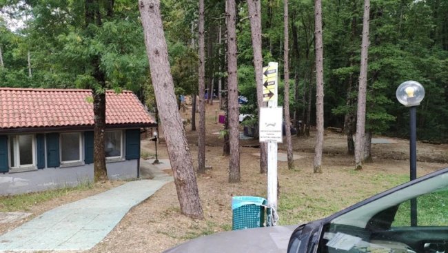 Sentiero nel bosco vicino a casette e lampione.