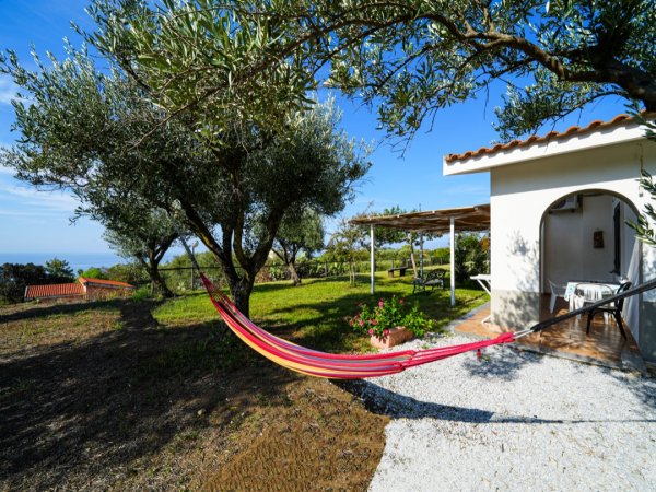 Amaca tra alberi vicino a una casa bianca.