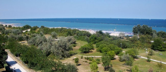 Costa con vegetazione e vista del mare.
