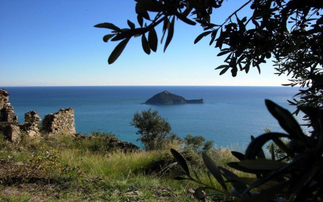 Vista mare con isolotto e rami di ulivo in primo piano.
