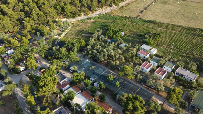Vista aerea di villette tra alberi.