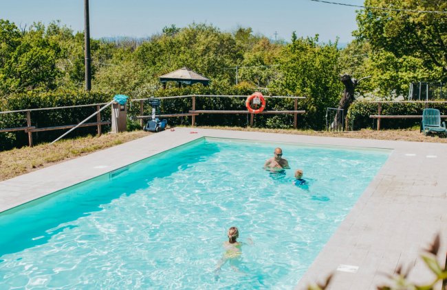 Piscina con persone che nuotano, circondata da verde.