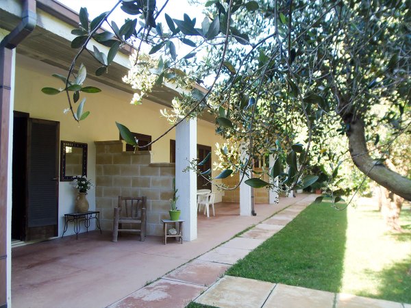 Terrazza coperta con sedie e tavolino, affiancata da un prato e ombreggiata da rami d'ulivo.