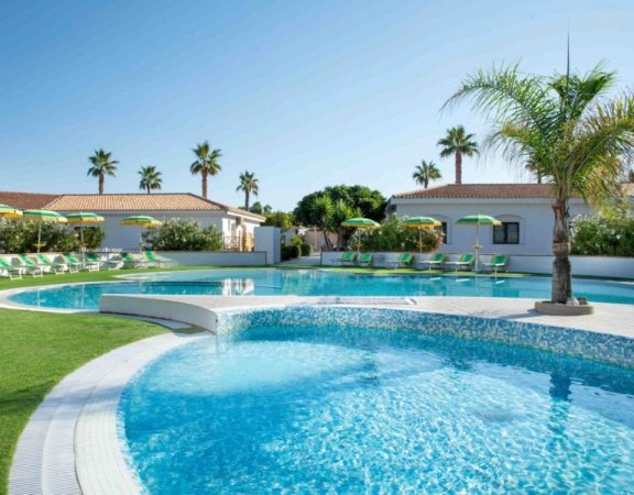 Piscina con palme e lettini verdi.