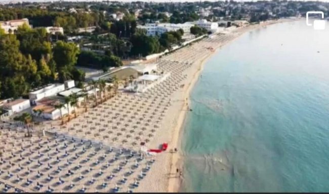 Spiaggia con lettini e ombrelloni vista dall'alto.