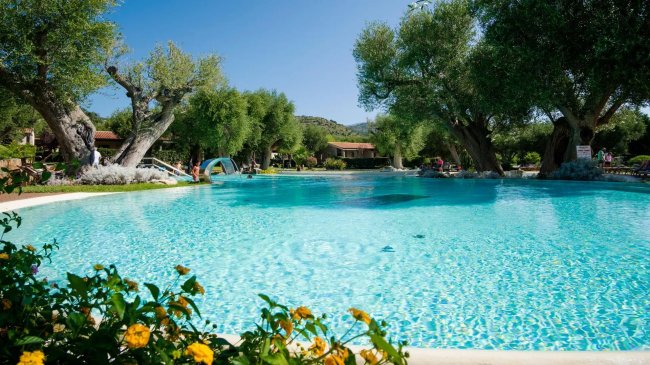 Piscina azzurra circondata da alberi e fiori gialli.