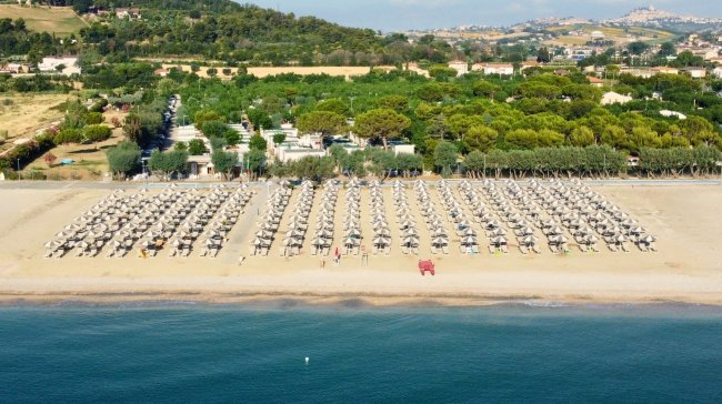 Spiaggia con file ordinate di ombrelloni e lettini, davanti a un paesaggio verde e collinare.