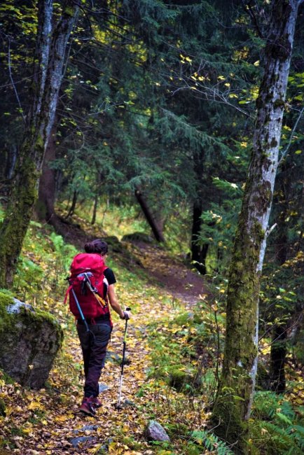 Escursionista con zaino rosso in un bosco.